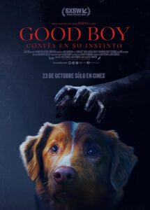 Good Boy