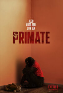 Primate